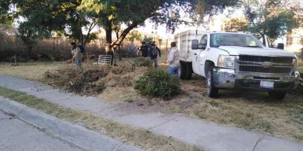 Rehabilitarán áreas verdes y camellones en mal estado en Salamanca