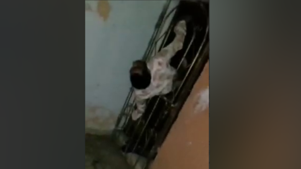 Video: Presunto ladrón se atora en la reja de protección de una casa en Celaya