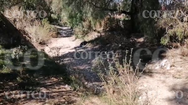 Dejan cuerpo tirado en arroyo en San José Iturbide