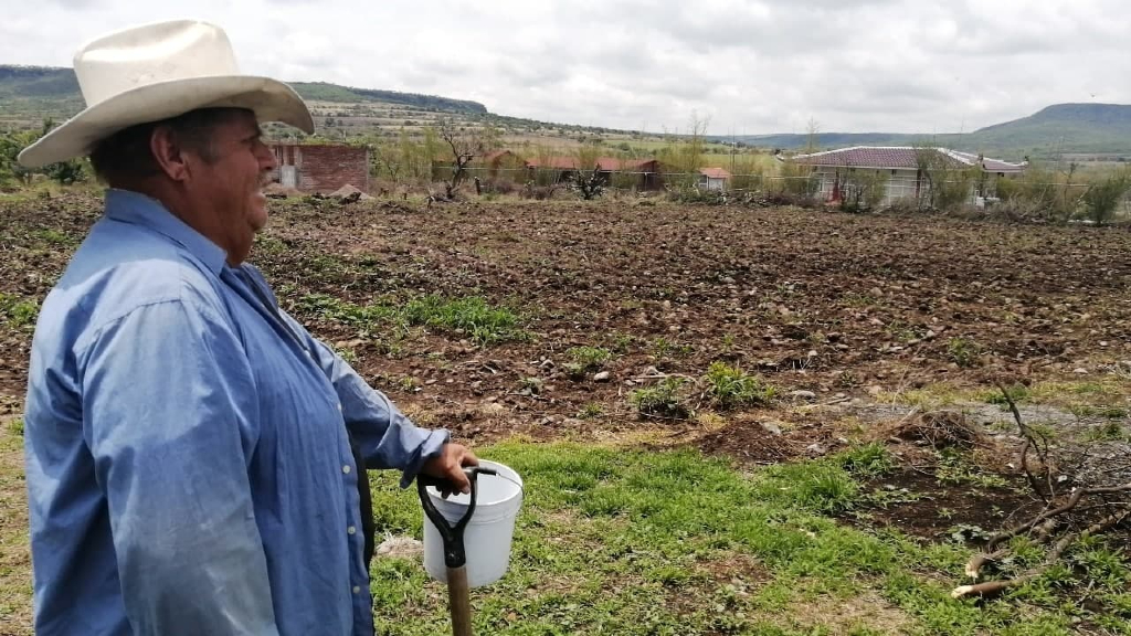 Salamanca: Agricultores piden a Fondos Guanajuato crédito de 100 mdp