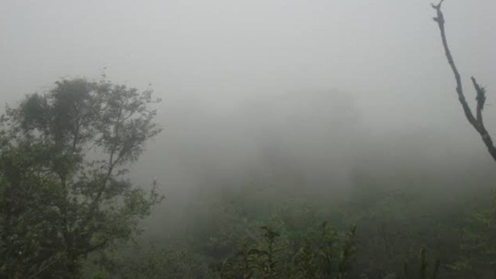 Llega frente frío 21 a Guanajuato con posibles heladas matutinas en la sierra