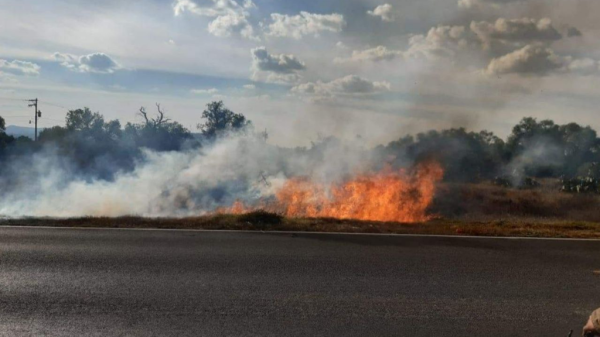 Incendios se triplican en San José Iturbide; Protección Civil está rebasada