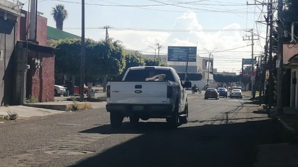 Alertan sobre robos de autos en la zona norte de Salamanca