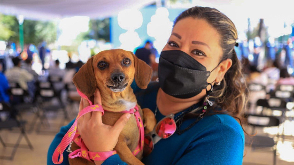 León: Inauguran refugios para animales abandonados en estaciones del SIT