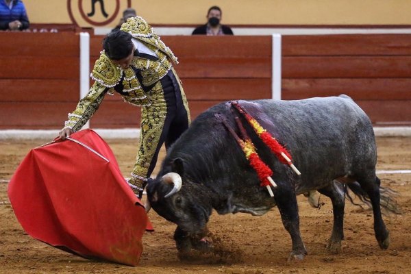 Sergio Flores está listo para mostrar su talento en la Feria Taurina León 2022