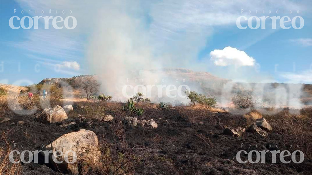 Cachorro muere calcinado en incendio forestal provocado en Abasolo