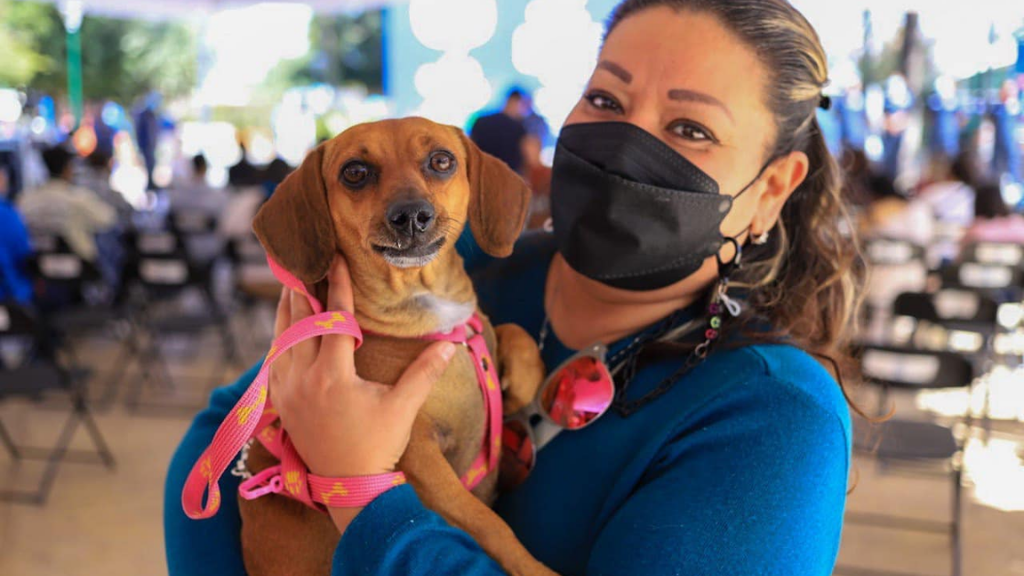 Leoneses eligen construir hospital veterinario en consulta de presupuesto participativo