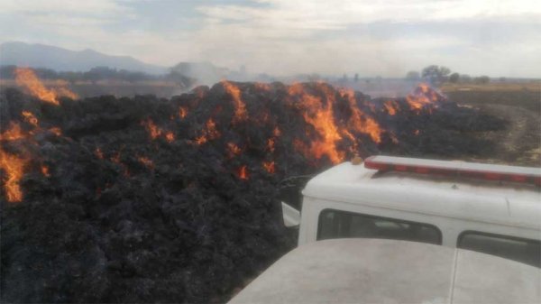 Bomberos atienden incendio de 12 mil pacas de rastrojo en Acámbaro