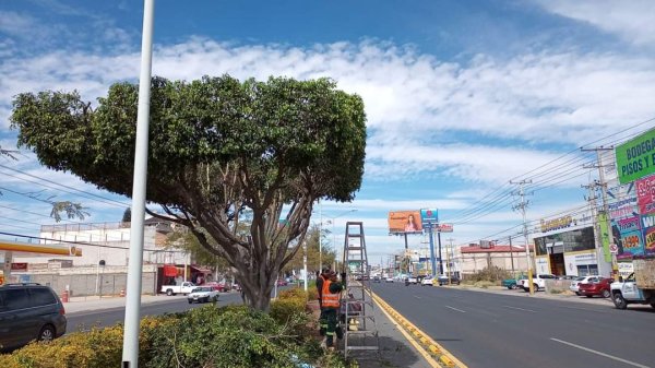 Por ahora no habrá más contrataciones en Servicios Públicos  de Celaya