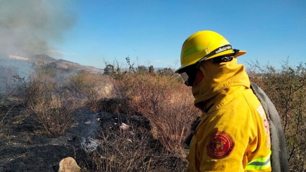 Incendio forestal obligó a desalojar las oficinas del IEEG en Guanajuato