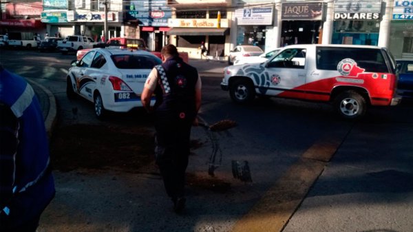 Presunta detención causa psicosis en la zona dorada de León (video)