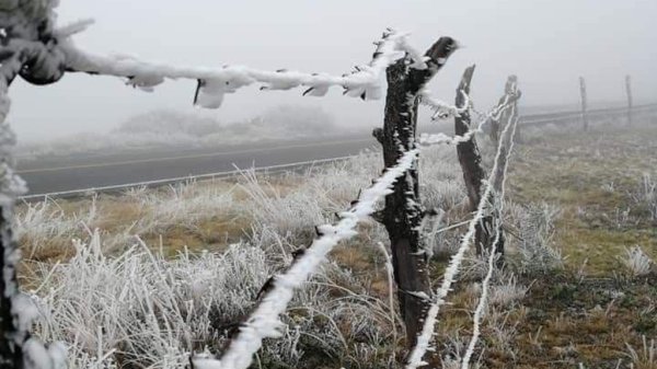 ¡Llegó la nevada! Noreste de Guanajuato amanece con agua nieve