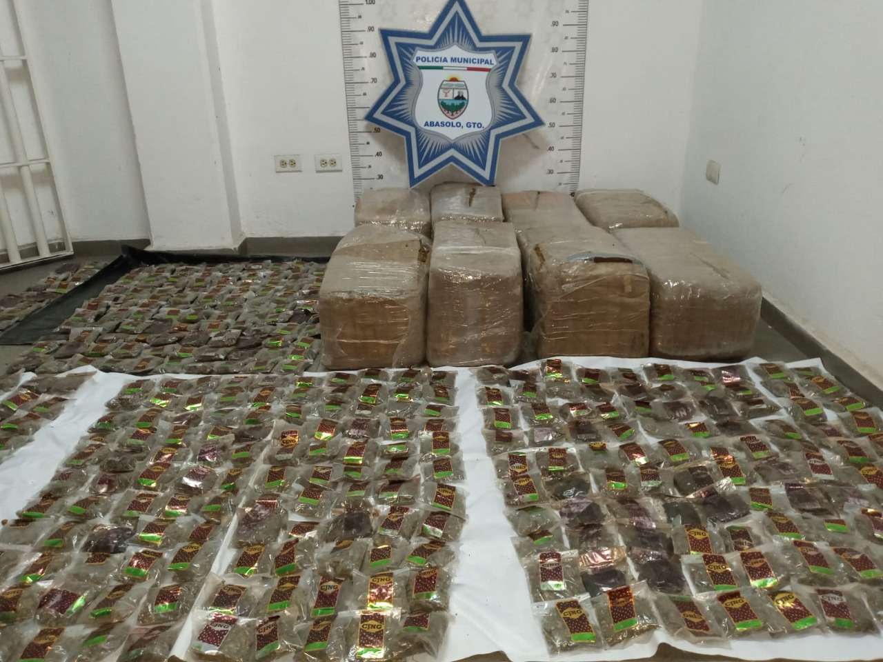 Seguridad Pública de Abasolo logra decomiso de más de 7 mil dosis de marihuana