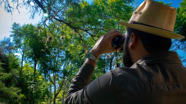 Convocan a conteo nacional de aves en el Metropolitano de León