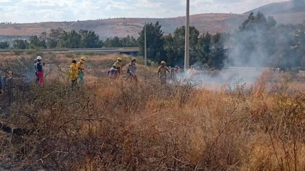 Guanajuato capital registró hasta tres incendios de pastizal en un mes