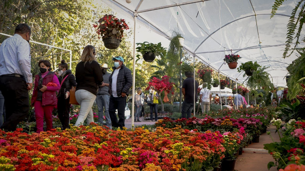 Feria de la Candelaria en San Miguel se extiende hasta el 18 de febrero