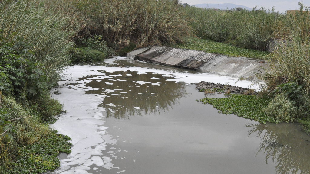 Residuos de empresas teñidoras afectan el tratamiento de aguas en Uriangato y Moroleón