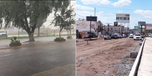 Purísima del Rincón: obra por Walmart acaba con árboles en el Hermenegildo