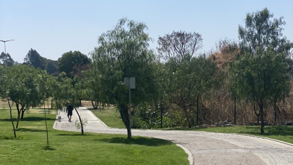 Pase Verde incrementa al doble uso de transporte al Zoológico de León