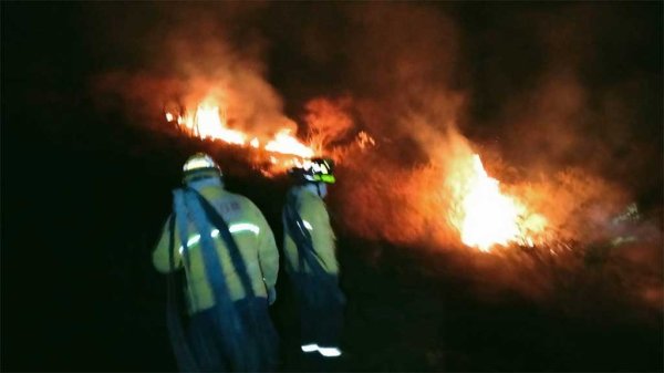 Incendio de pastizales consumió casi 12 hectáreas en Guanajuato capital