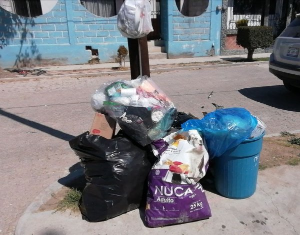 Falla recolección de basura en San José Iturbide: sufren en  la Buenavista y Prados del Rosario