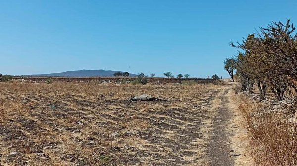 Esta sería una de las comunidades de Celaya con alerta por el tigre de Apaseo