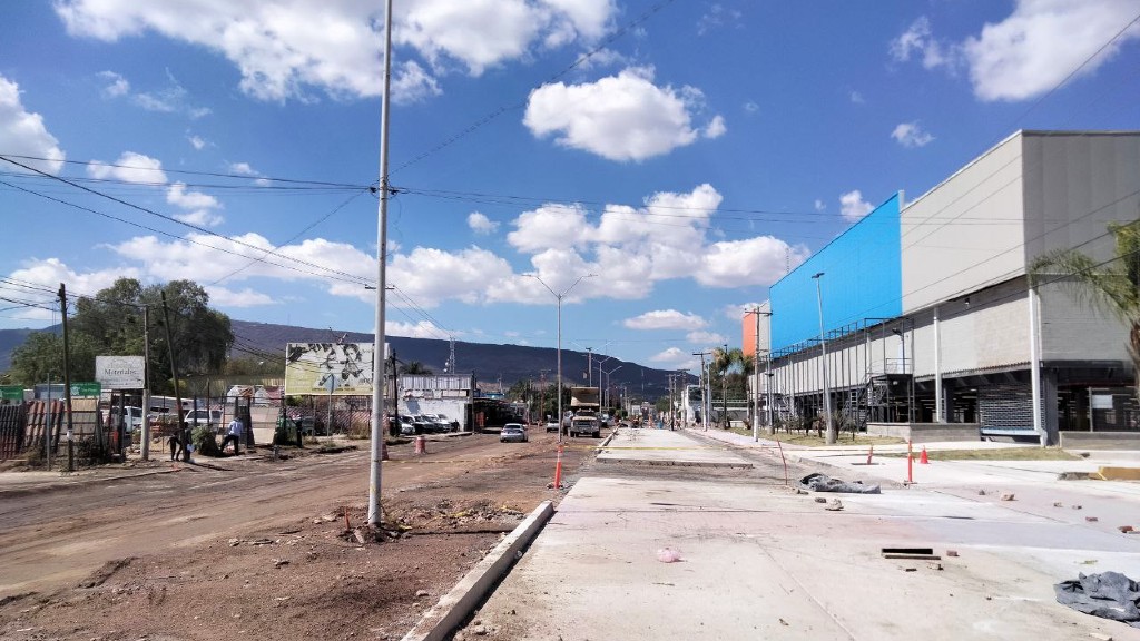 Con 100 árboles buscan reparar tala de 5 en Walmart de Purísima del Rincón