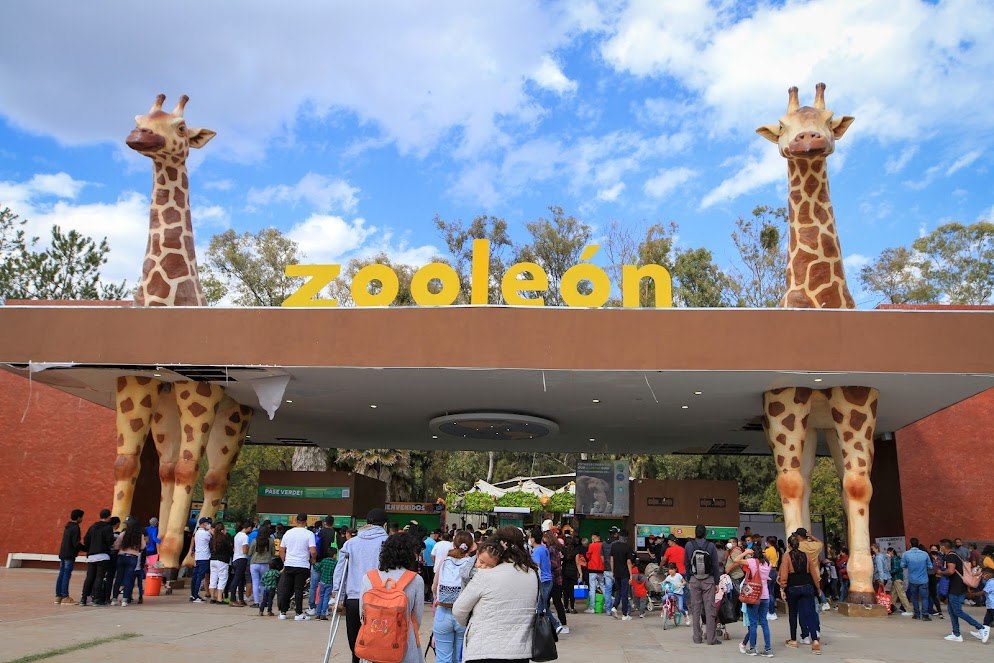 Visitas al Zoológico de León se catapultan hasta un 600% con el Pase Verde