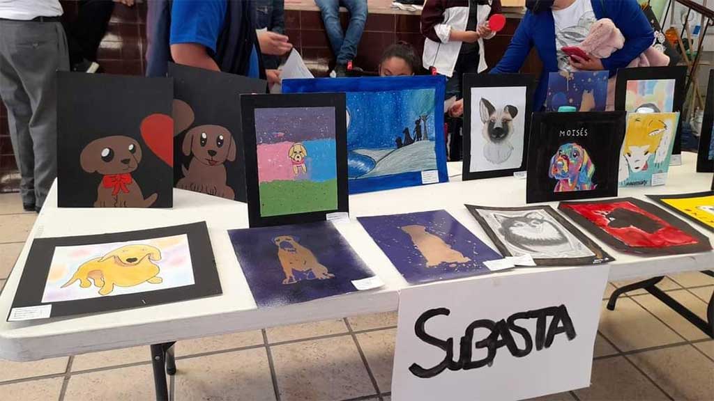 Jóvenes salmantinos crean ‘galería de arte’ para apoyar a animalitos del SAPA