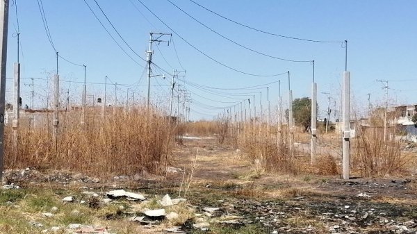 El fracaso de Palo Blanco, en Salamanca: promesas de vivienda quedan en fiasco