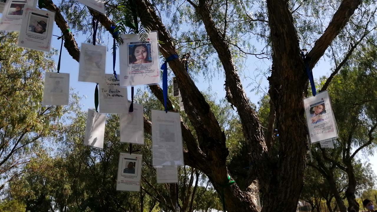 El árbol memorial: un homenaje para los desaparecidos en Guanajuato