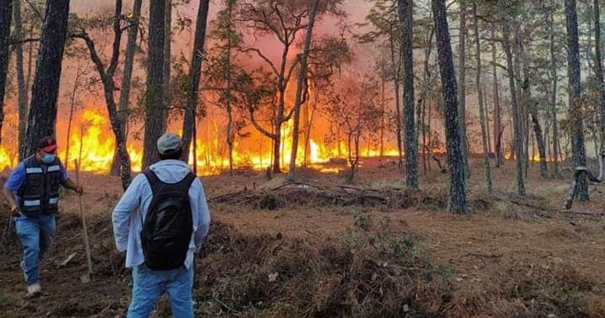 Incendio forestal asola Atarjea por segundo día; piden ayuda ciudadana