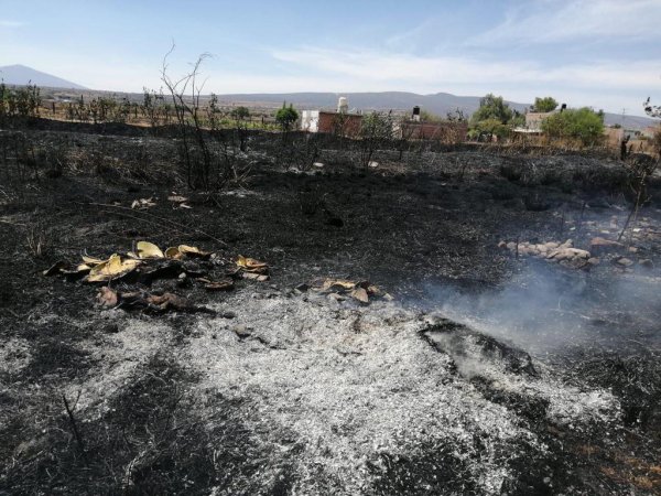 Quema de equilmo ‘asfixia’ a Guanajuato; responsables no son sancionados