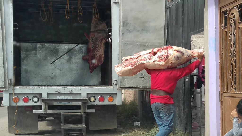 Entre restos y agua contaminada, trabajan 60 rastros clandestinos en Pénjamo