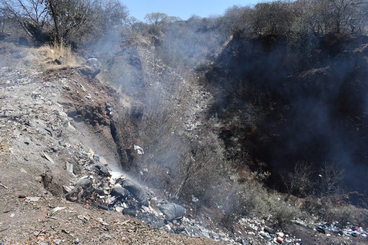 ‘Resuelven’ daño ambiental ocasionado en Valle por Yuriria con arbolitos y disculpas