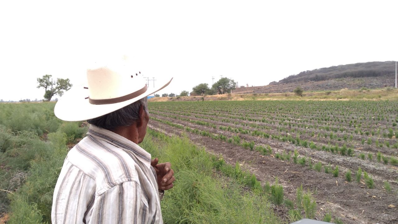 Robos a pozos en Guanajuato dejan pérdidas millonarias en el campo