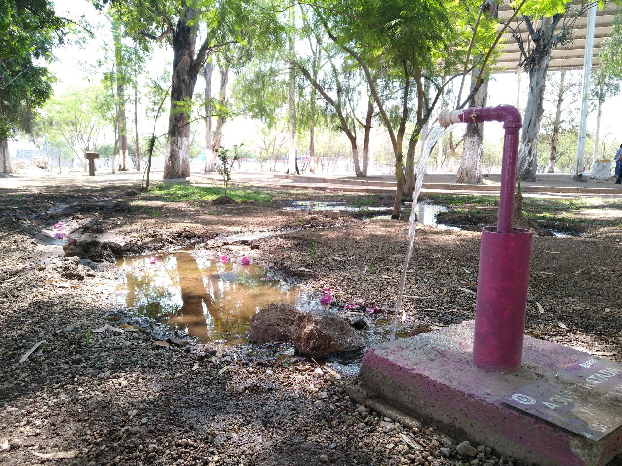 Silao: Buscan regresar al Eco Parque Los Eucaliptos como un ‘pulmón verde’ en la ciudad