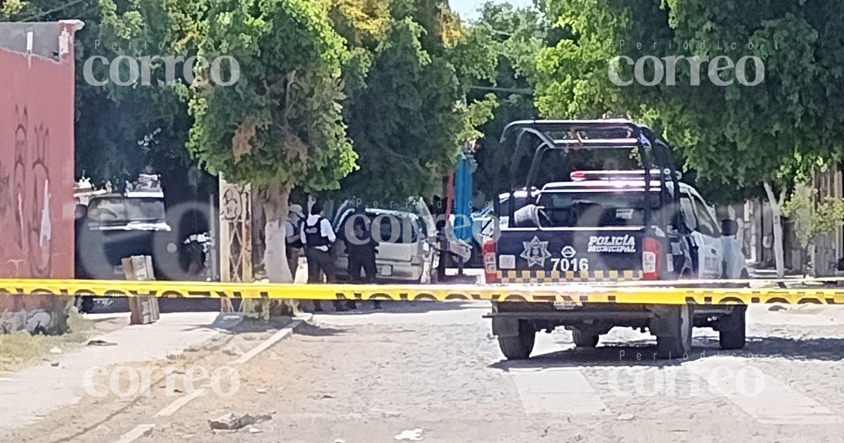 Ultiman a hombre que descansaba bajo un árbol en Celaya