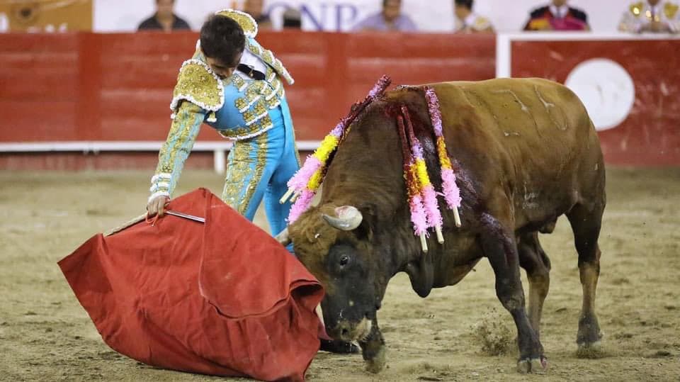 Diputado César Larrondo niega que su empresa organice corridas de toros