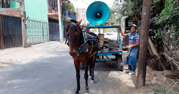 Para Miguel, su caballo Manuel es su familia; pide opciones para no “canjearlo”