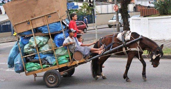 Para evitar transporte animal, crean programa de canje para comerciantes en León