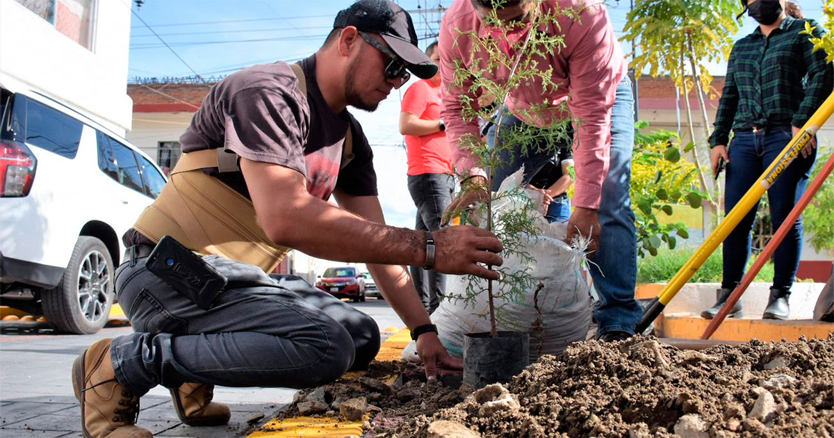 Coordina gobierno municipal plantación de árboles en parque de Abasolo