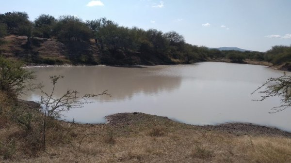 Irapuato: el Garbanzo sería la primera zona de recarga de agua de Guanajuato