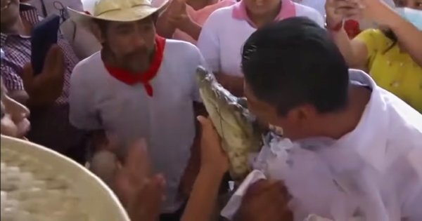 Alcalde de San Pedro Huamelula, en Oaxaca, se casa con un lagarto