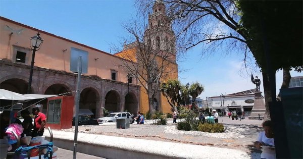 Para evitar riesgos, talarán árboles antiguos en el Jardín de San Agustín de Celaya