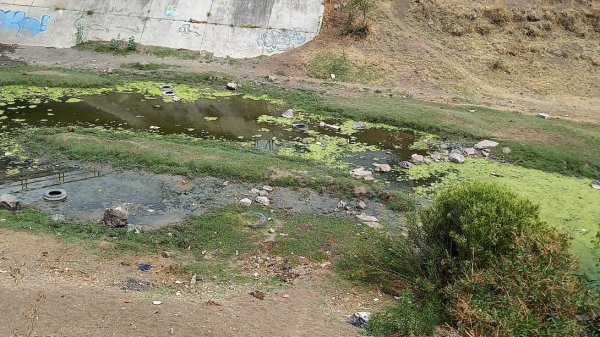 Con botellas, bolsas y hasta llantas contaminan el cauce en el río Silao en Irapuato