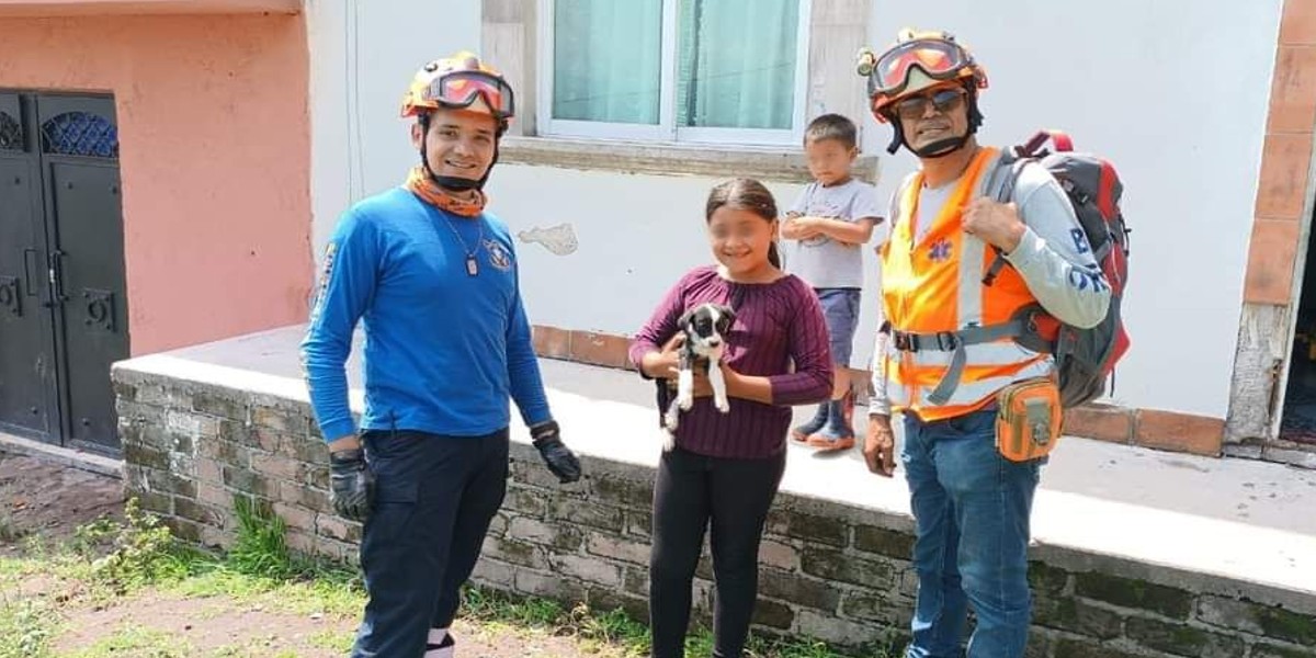 Rescatan a perrito atrapado en el Cerro del Toro, Acámbaro