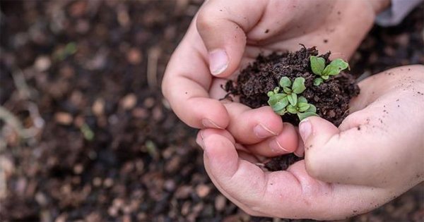 Estudiantes crean la 1er Cumbre Climática Juvenil de Guanajuato