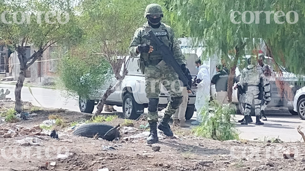 Encuentran en bolsas el cadáver de una persona cerca del SABES, Celaya