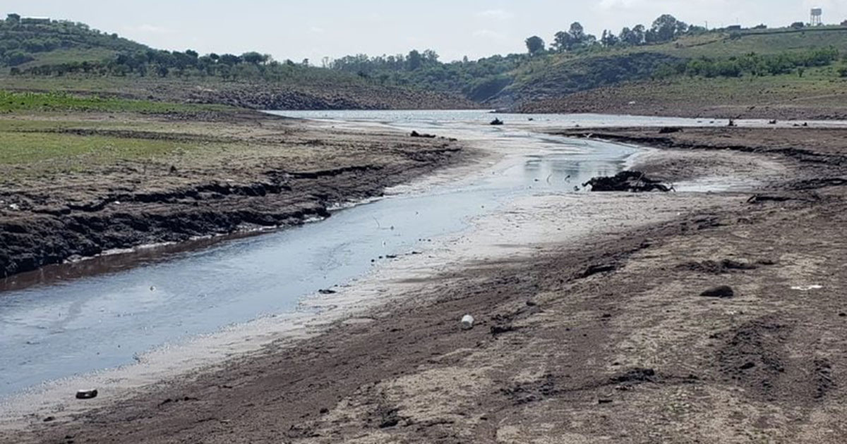 Ruegan ‘por una gota’: presa Golondrina en Pénjamo deja con escasez de agua a cultivos  